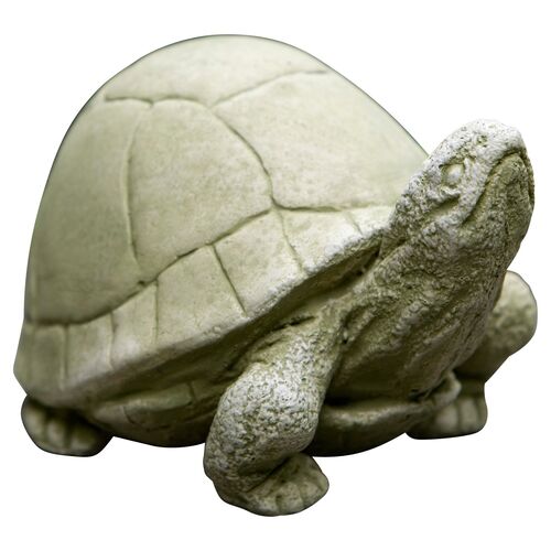 5" Box Turtle, English Moss~P46784100