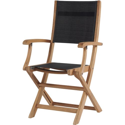 Myrna Teak Outdoor Folding Chair, Black~P77649403