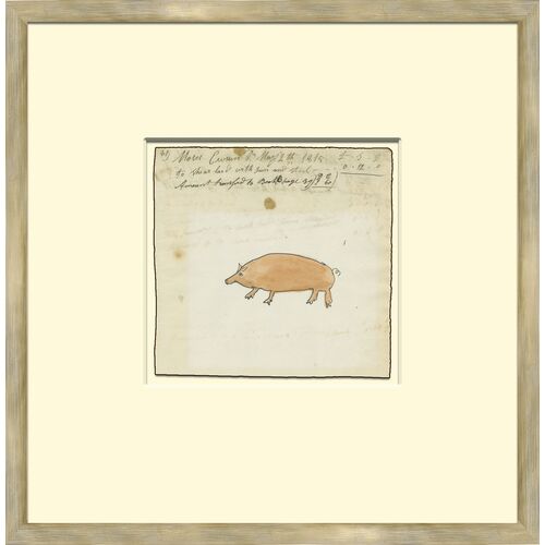 Pig Mennonite Ledger Drawing