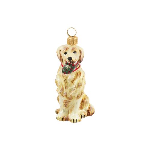 Golden Retriever Ornament, Yellow~P77493047