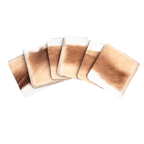 S/6 Springbok Hide Coasters, Brown