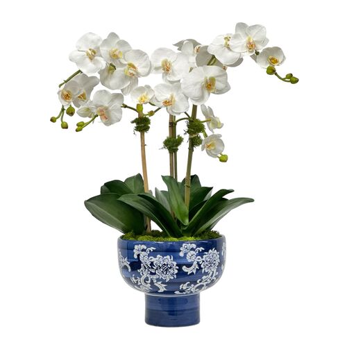 Faux Orchid In Porcelain Pot, White/Blue
