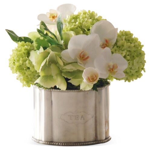 10'' Phalaenopsis in Caddy, Faux~P76527956
