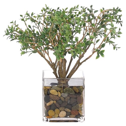 13" Cotoneaster in Cube Vase, Faux~P77560323