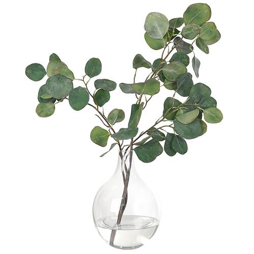 20" Silver Dollar Eucalyptus in Glass Vase, Faux