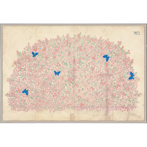 Paule Marrot, Myosotis Painting Paule Marrot, Myosotis Painting