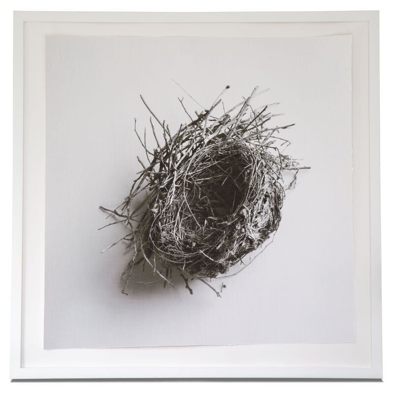 Dawn Wolfe, Robin Nest
