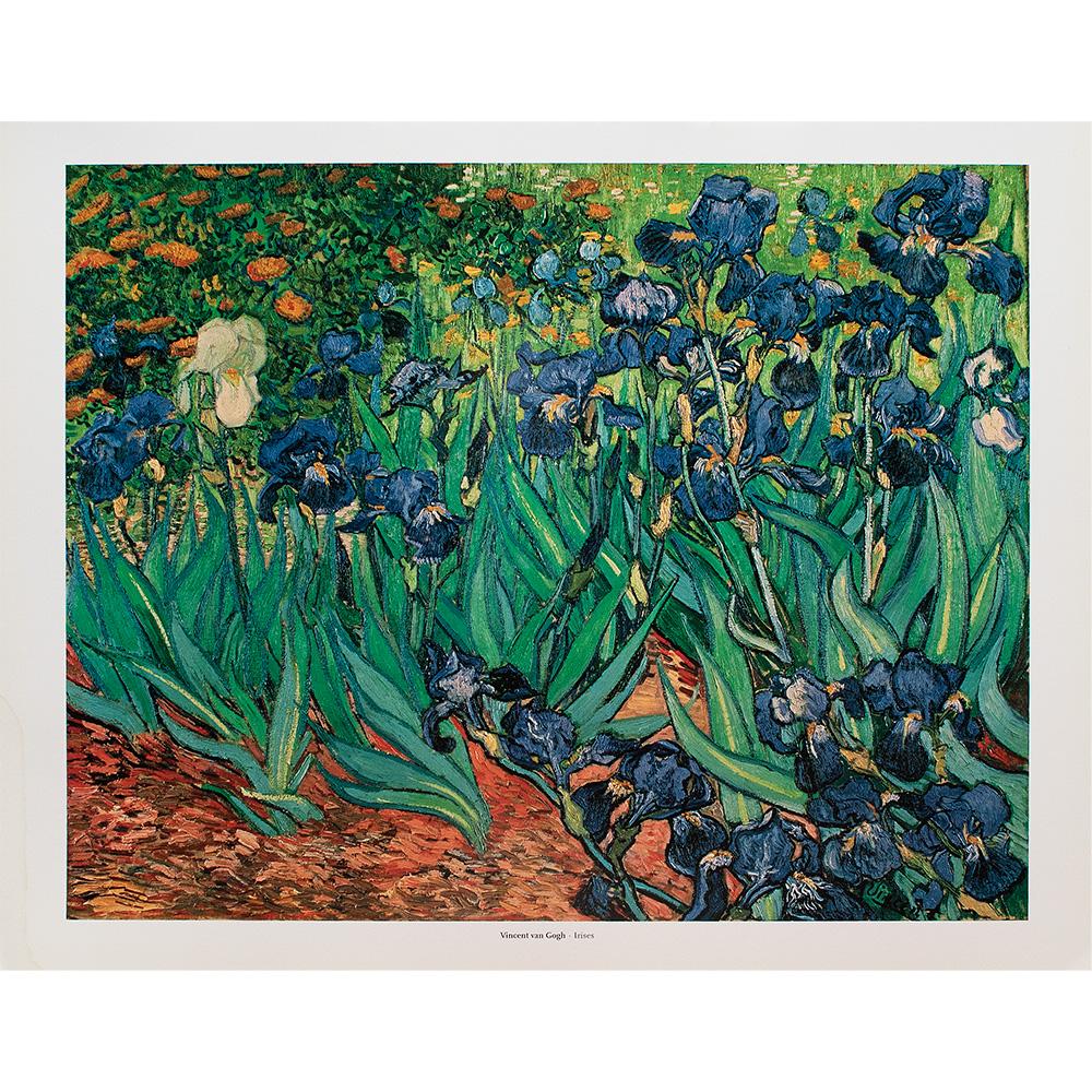 Van Gogh "Irises" Poster~P77660751