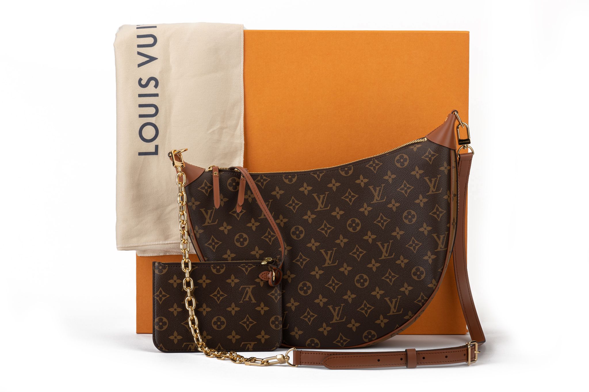 Louis Vuitton Bnib 2 Tone Monogram Hobo Bag