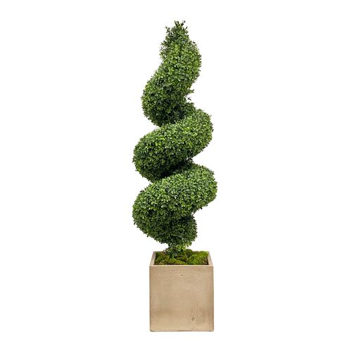 Faux Spiral Boxwood In Square Planter, Green