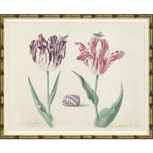 Dutch Tulips D~P77628979