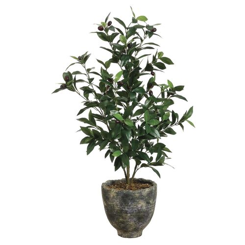 3' Olive Tree in Planter, Faux~P77095744