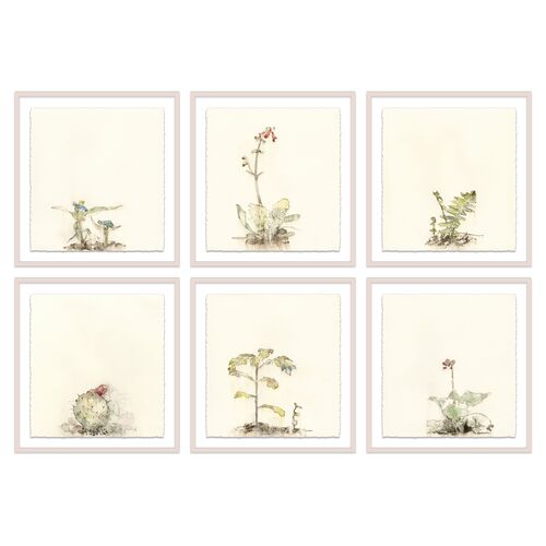 Mary H. Case, Botanical S/6 Painting