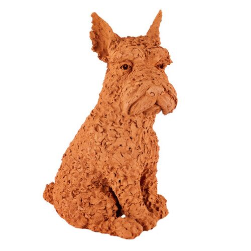 Oscar the Scottish Terrier, Natural