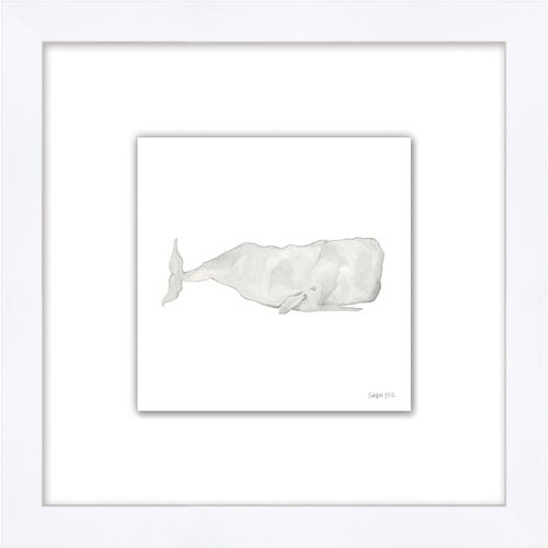 Sara Fitz, Gray Whale~P77611108