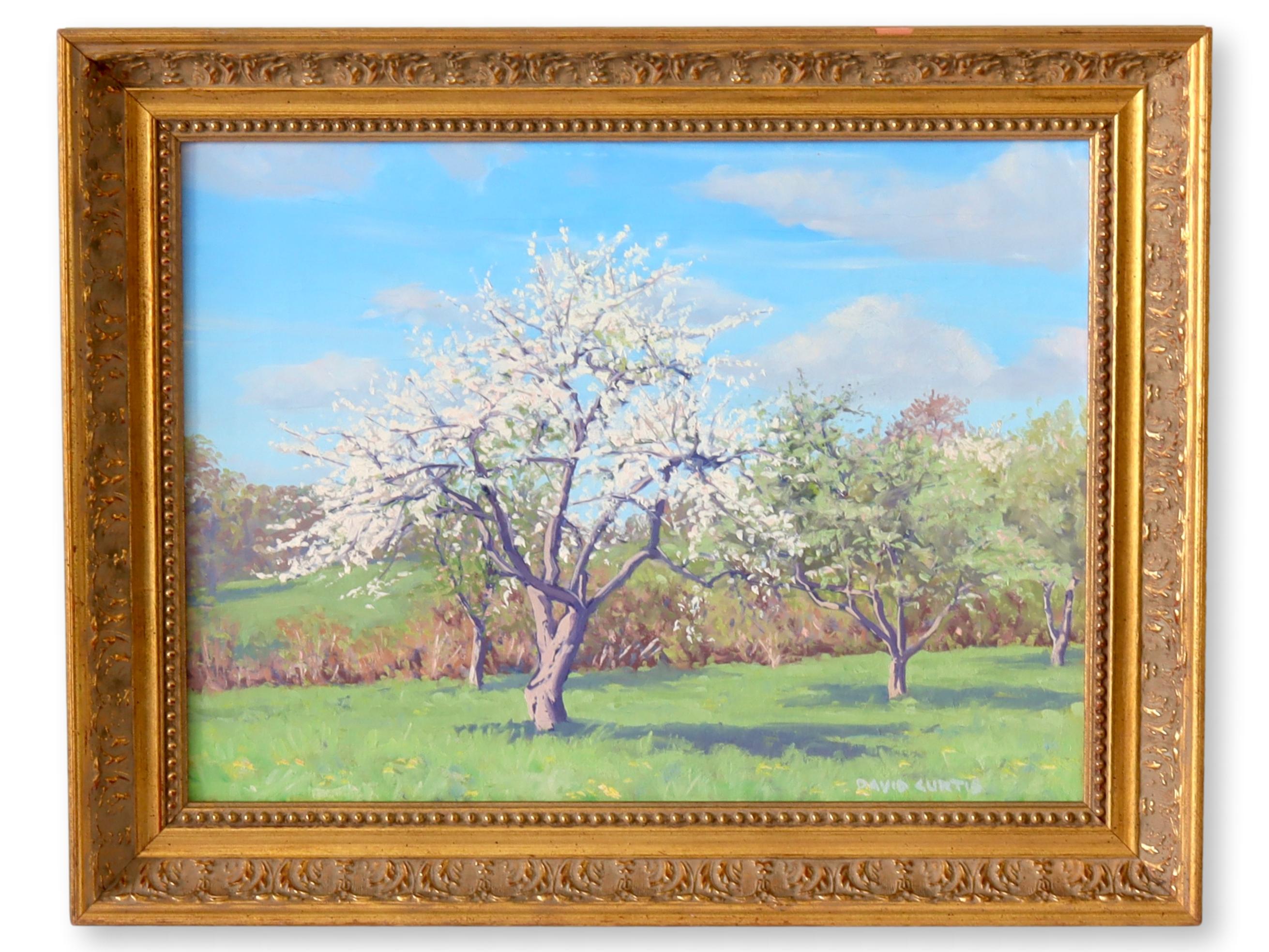 French Provence Fruit Orchard Painting~P77672560