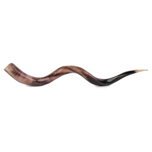 Kudu Horn Accent, Polished Natural~P77534538