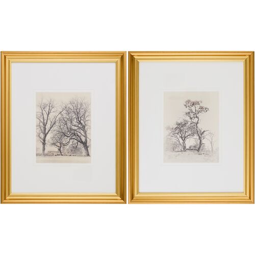 Coconino Framed Landscape Diptych, 23" x 19" each
