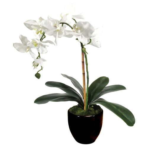 18" White Orchid w/ Planter, Faux~P77469470