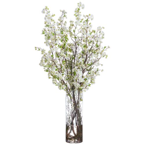 64" Cherry Blossom Arrangement in Tall Glass Vase, Green