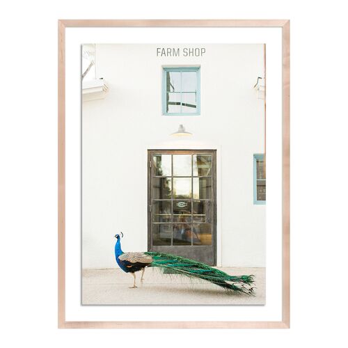 Sarah Ellefson, Peacock Photograph