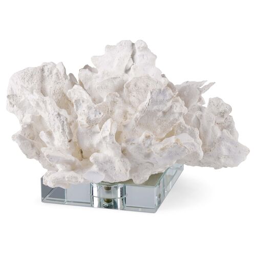 Coral On Crystal Base, White~P77372727