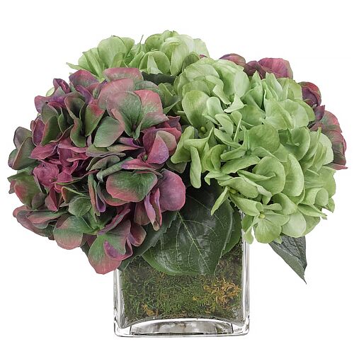 10" Hydrangeas in Glass Cube Vase with Moss, Faux
