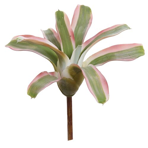 8" Agave Stem, Set of 24