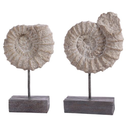 S/2 Jackie Ammonite Shell, Black/White~P77647354