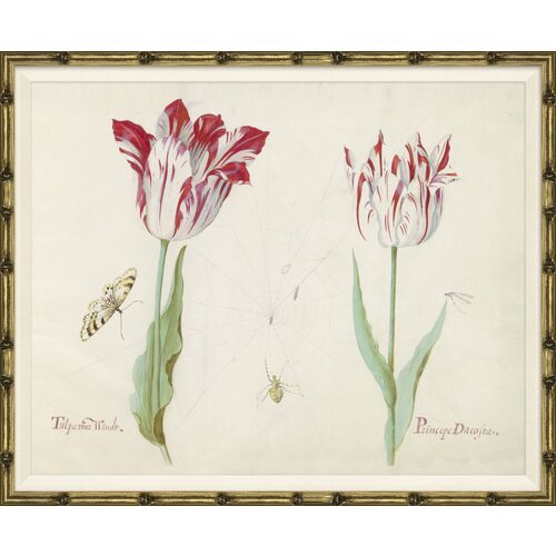 Dutch Tulips B~P77628977