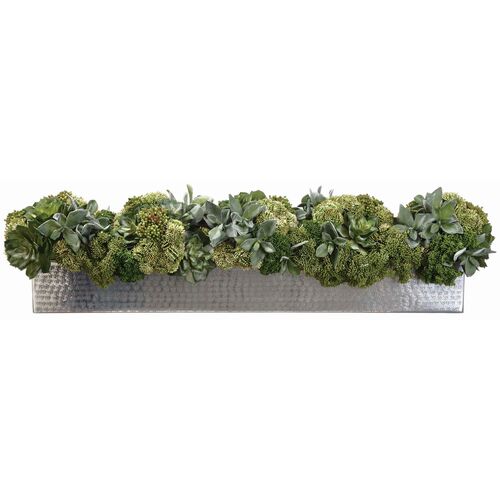 10" Succulent and Sedum Arrangement in Planter, Green 10" Succulent and Sedum Arrangement in Planter, Green