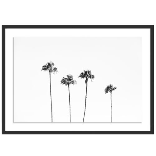 Malibu Palms - Malibu, California Photograph by Carly Tabak~P111121775