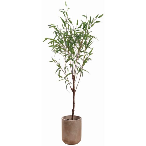 6' Bamboo Tree, Green