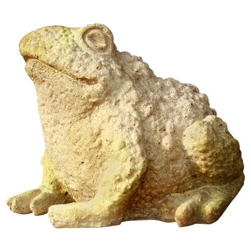 5.75" Croak Toad, White Moss~P77070469