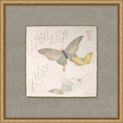 The Met, Light as a Butterfly 3, 17" x 17"