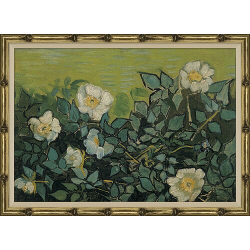Vincent Van Gogh " Wild Roses"~P111123921