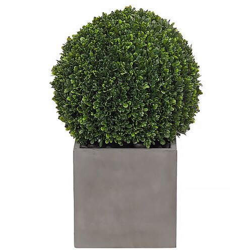 25" Boxwood Ball Topiary in Concrete Cube, Faux