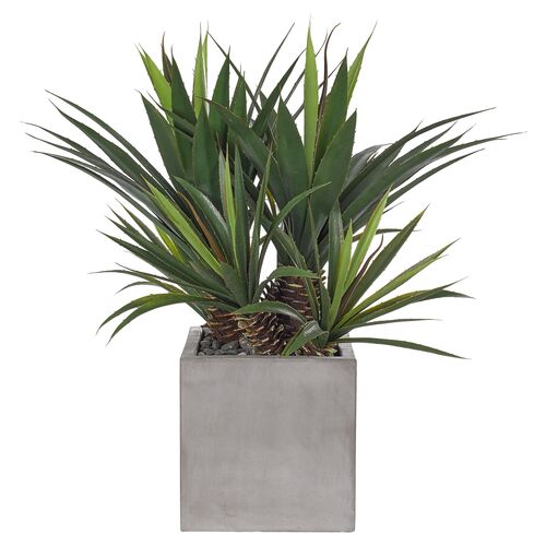 28" Aloe Plant in Concrete Cube, Faux~P77602658~P77602658