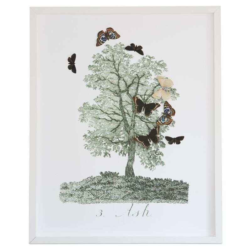Dawn Wolfe, Tree w/Butterfly Cutouts: Ash
