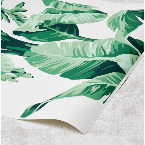 Nathan Turner Pacifico Palm Wallpaper, Ivory/Green~P77406497
