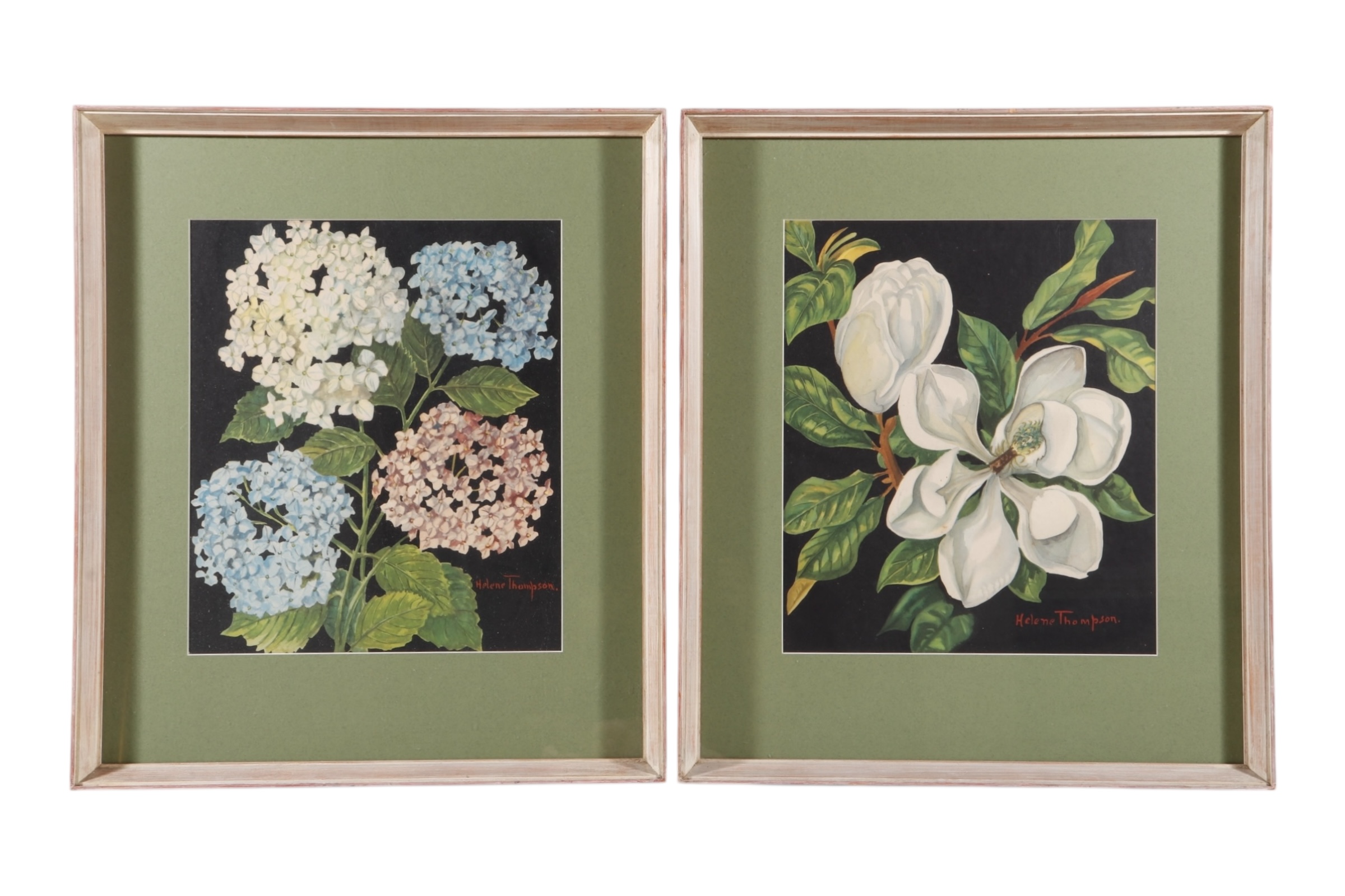 Signed Botanical Lithographs, a Pair~P77732609
