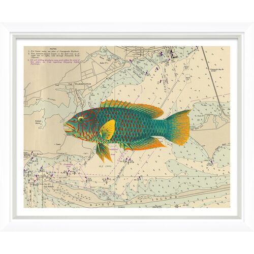 Vibrant Fish