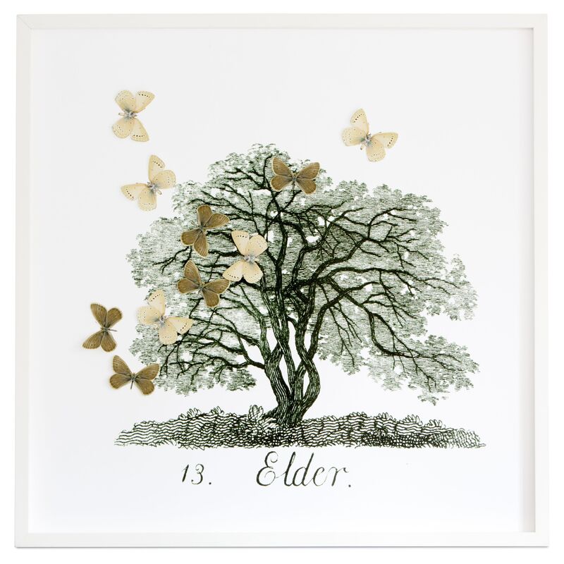 Dawn Wolfe, Tree w/Moth Cutouts: Elder