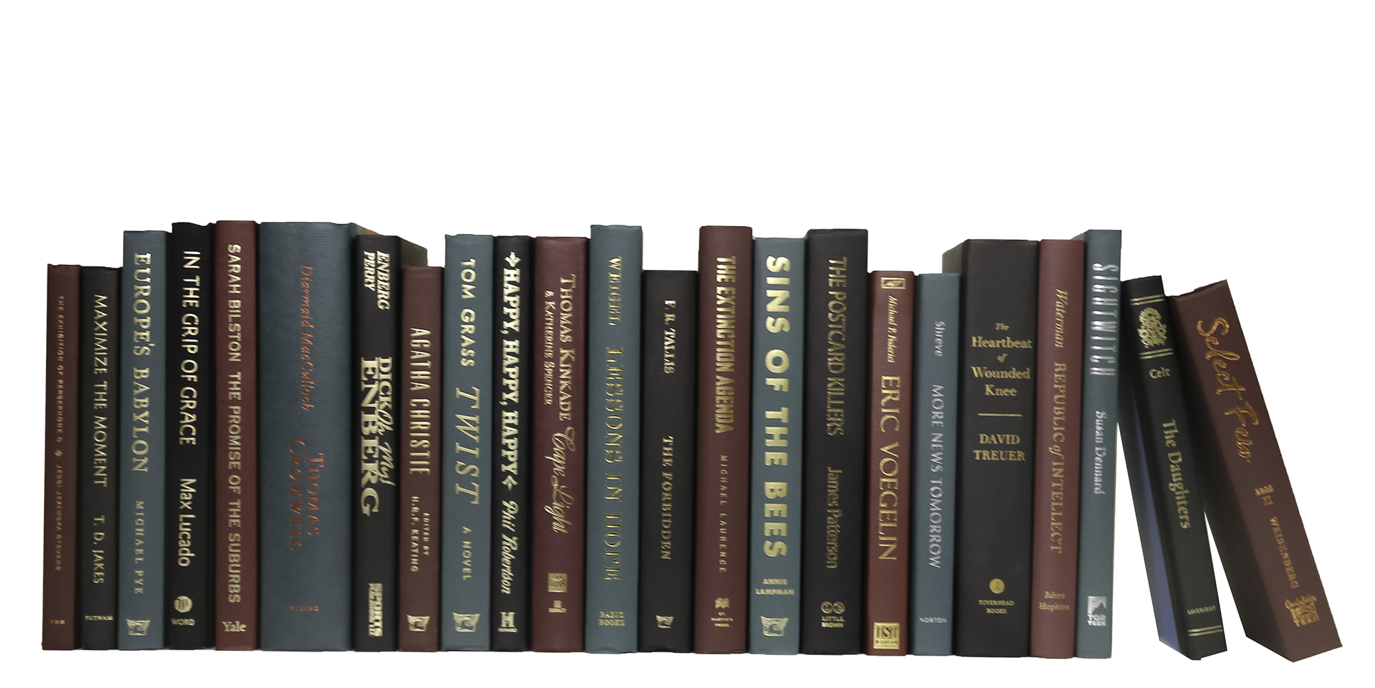 Decorative Books by the Foot Bundle, Winter Berry