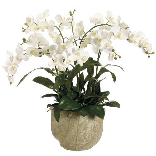30" Phalaenopsis Orchid in Star Pot, Faux