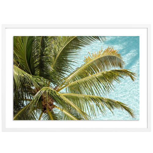 Florida Palms - Miami, Florida Photograph by Carly Tabak Florida Palms - Miami, Florida Photograph by Carly Tabak~P111121631
