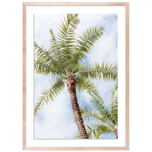 Palm Beach Palms - Palm Beach, Florida Photograph by Carly Tabak