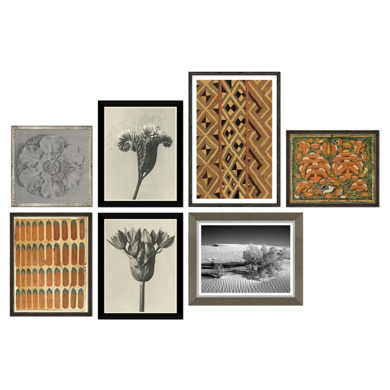 The Naturalist, Gallery Set of 7