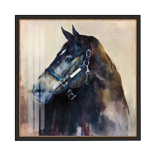 The Tale Of A Stallion, 39" x 39" The Tale Of A Stallion, 39" x 39"