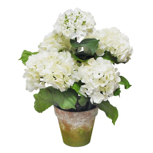 22" Five Blossom Hydrangea w/ Pot, Faux 22" Five Blossom Hydrangea w/ Pot, Faux~P77544050